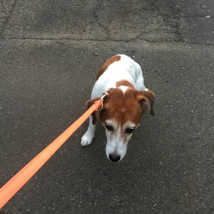 Da5b3d25 a6c9 4e50 967b 48b8ff18b94c 1533472496128