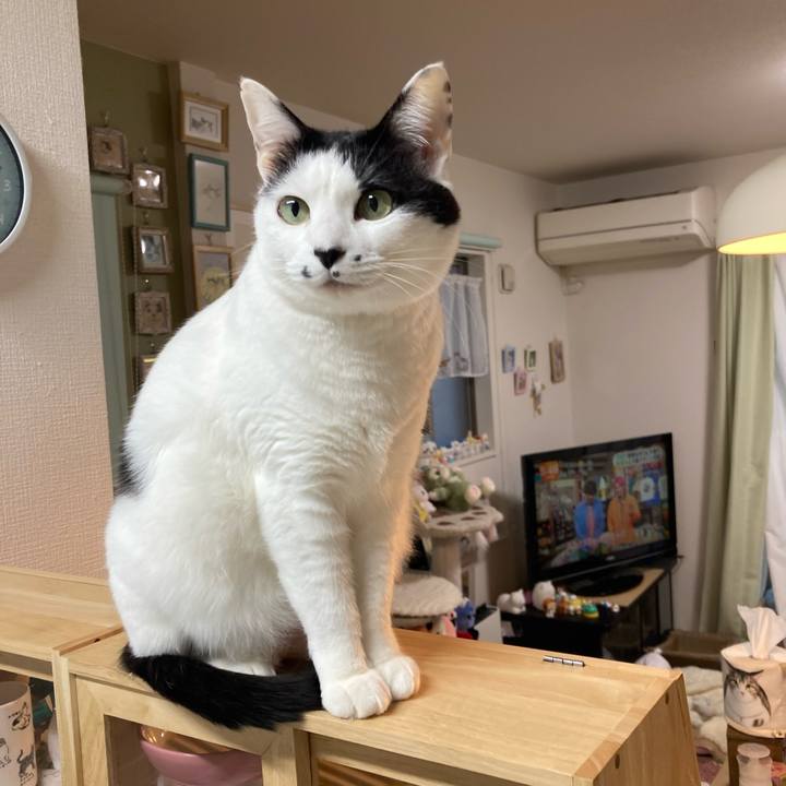 Da5b4933 6d6b 4111 bd28 5dfc3f502df6 1774299652561