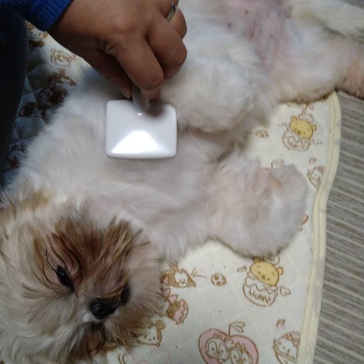 Da5b4eef b9c4 4148 ba38 f68ddfc949ac 1603925534708