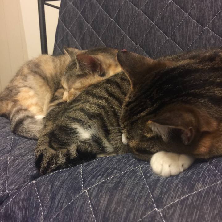 Da5b6629 55e4 4d92 99a2 dc437f55fd82 1560254283214