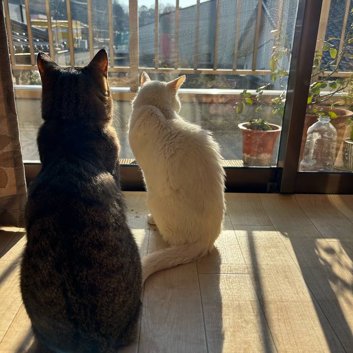 Da5b70d7 0cf6 4631 bd57 7569840a5a81 1703894351943