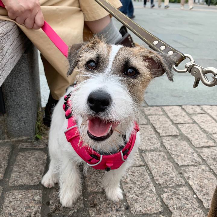 Da5b74a8 a501 4cea 9255 7eb829cbf5cc 1572788287150