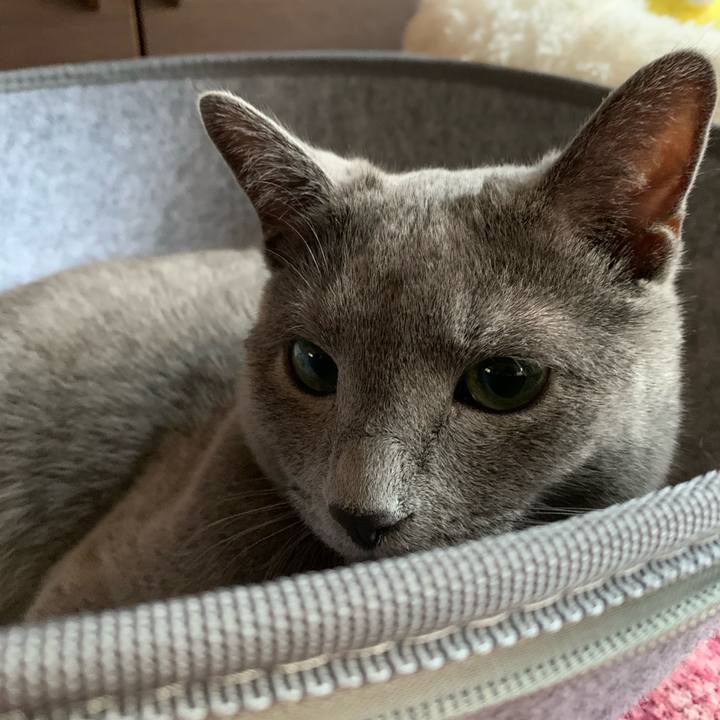 Da5b81c1 7c19 4237 8f98 d095cc9434d1 1592955678234