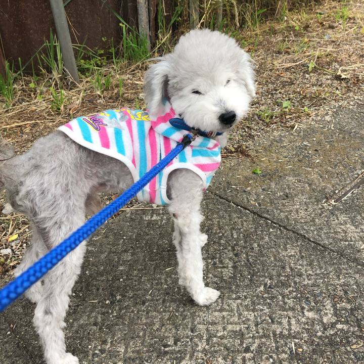 Da5b850b a2c1 446c a7ad 3ec6a0fdd3ef 1754319618235