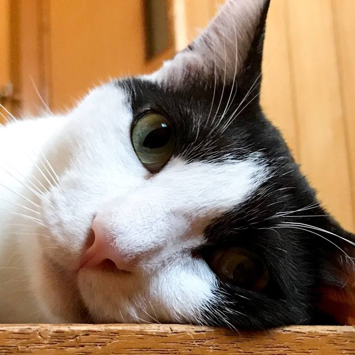 Da5baf71 c3c5 40f3 8b03 01bcf7c4e90e 1533651790188