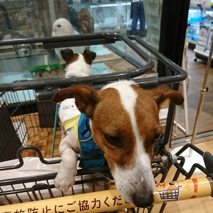 Da5bb38c 45e0 42f9 bad3 d5be87a7c528 1597563421428