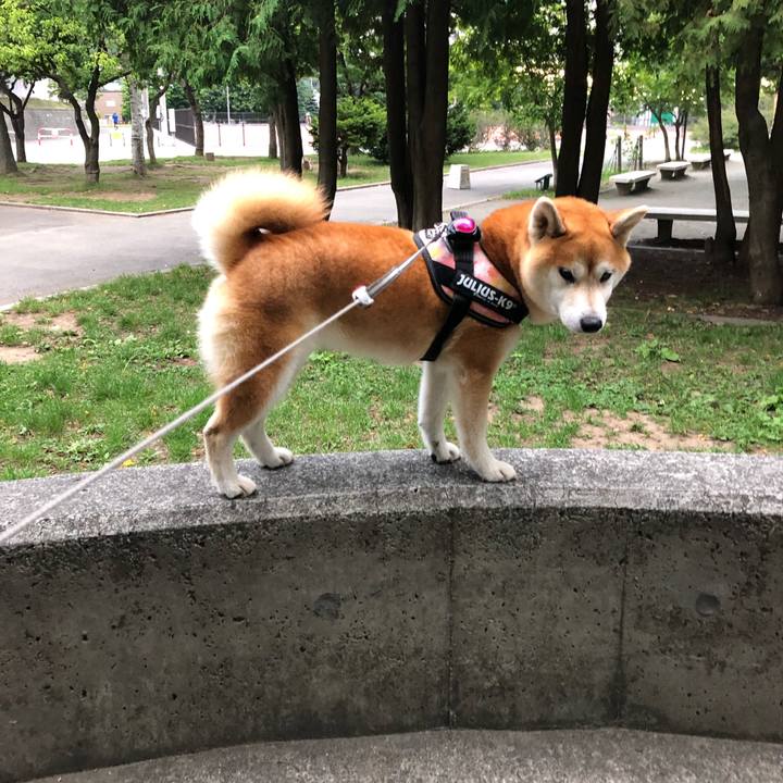 Da5bfb3e d582 44f2 b2b4 b8856b2b4085 1565865535086