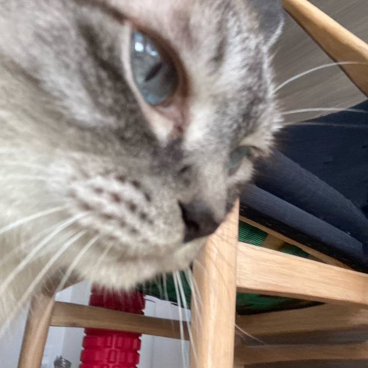 Da5c0c82 a5df 4207 9725 7346089f49b5 1754195825986