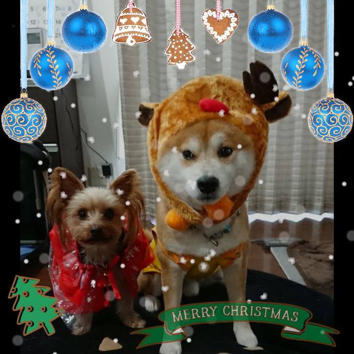 Da5c29ff 726e 4561 9e75 3ca5db6ae377 1545738445264