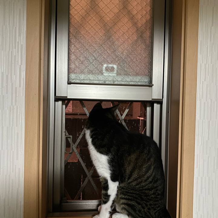 Da5c31c4 2b22 4d66 8505 4060e1f3f5e4 1663619088985