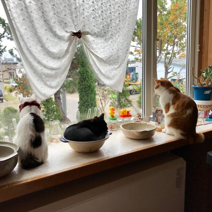 Da5c35e9 dafc 4546 9b0a b3f5767e3fc4 1570833876853