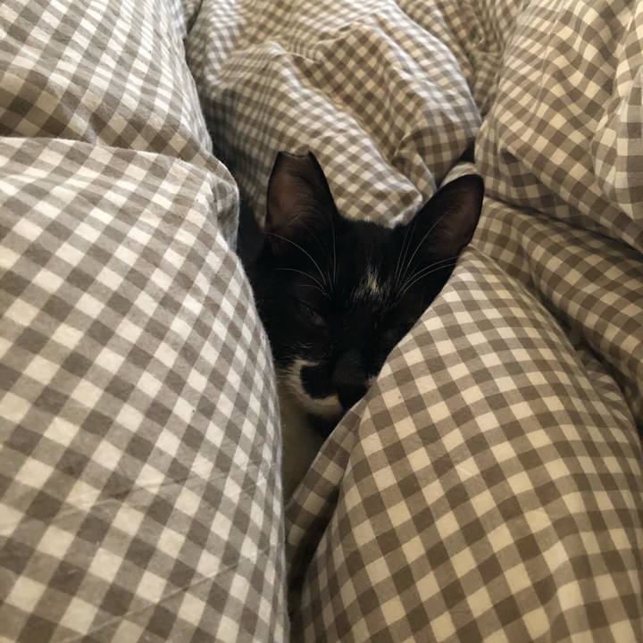 Da5c36cc a79b 42bc 9789 d81b7427b535 1542451213748