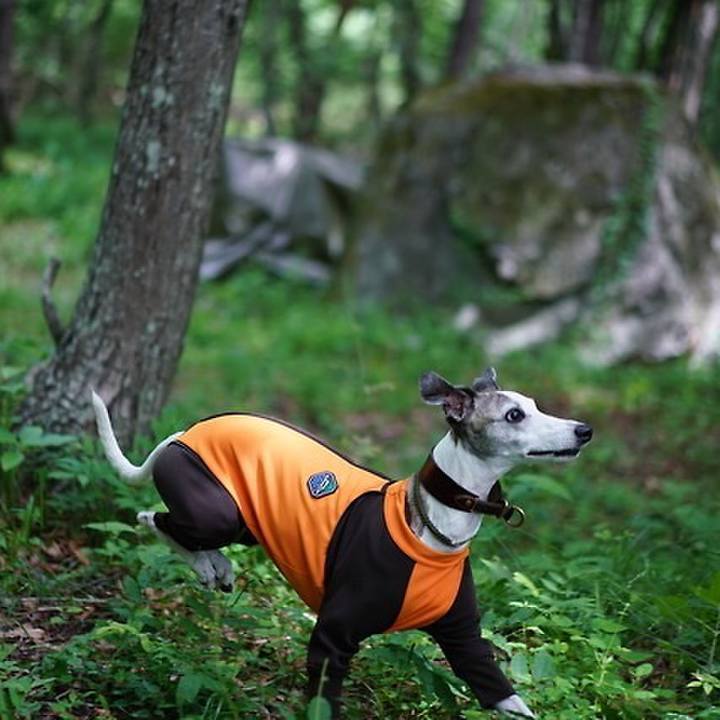 Da5c6be3 075a 4991 83cf 66bd58e90996 1530369756168