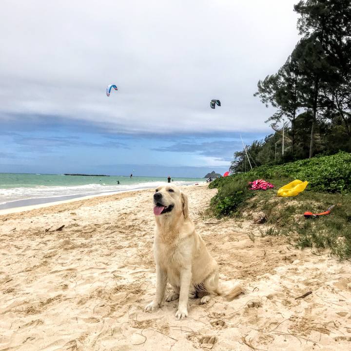 Da5cec1e b0cb 4fc2 8a44 58ecfa645010 1523343828675