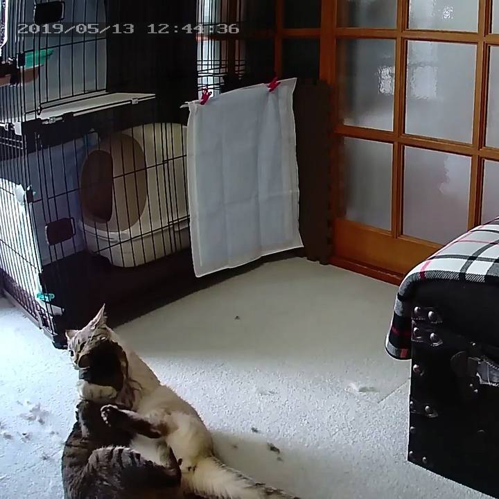 Da5d70da 2a65 49a1 8d65 da5feeae1420 1557719319059