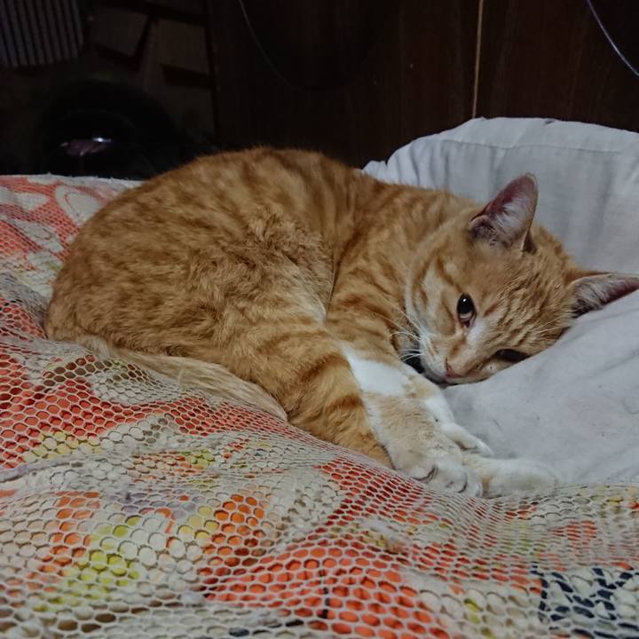 Da5d98e3 99ea 4d81 be27 5d81ac284834 1586693343313