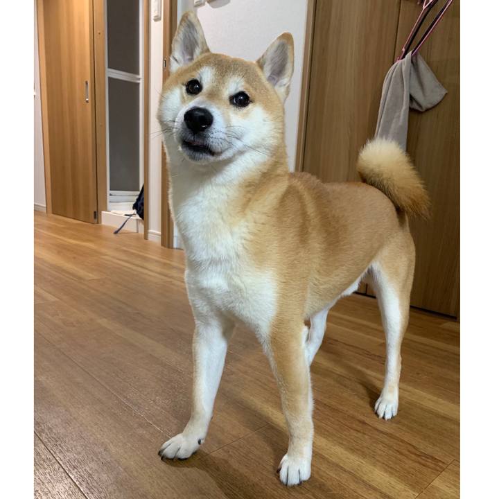 Da5da7c7 4864 4988 9baa 6a9d9087f991 1555682617632