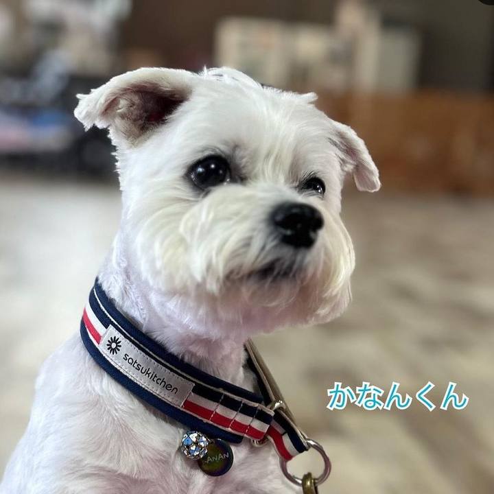 Da5dbecf cb86 4871 817a b79ba5fd3f22 1691675734104