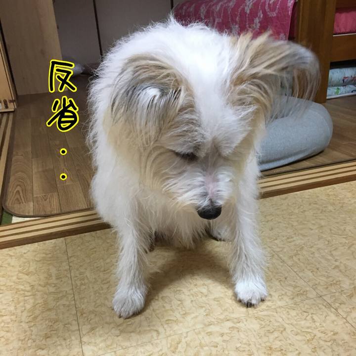 Da5dd535 5e29 4197 bd89 4be0a0a9d2e5 1508386574097