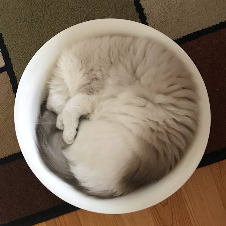 Da5decff a4fd 4feb 8204 0702e00fcc0e 1568435076495