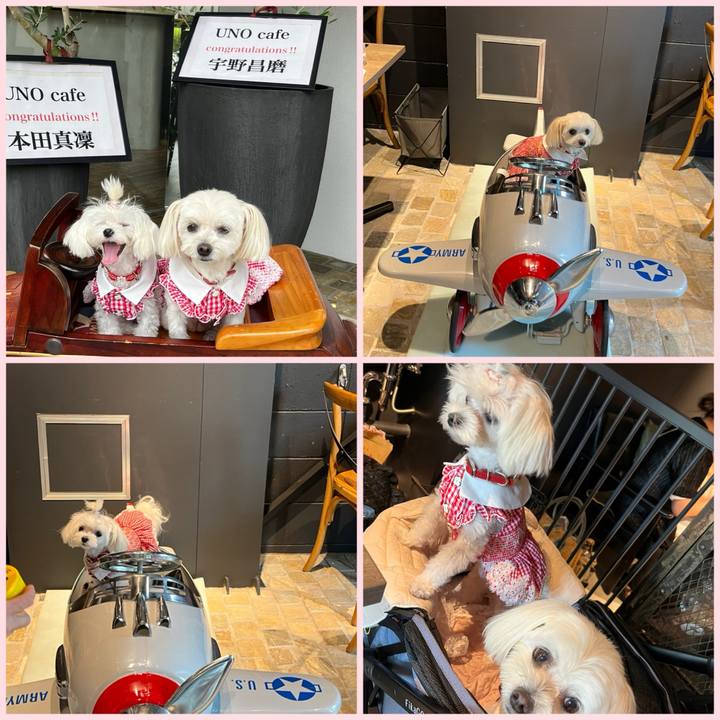 Da5dfbee 08b9 499d 9e74 8185146294cb 1726401910945