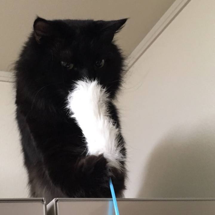 Da5e2c17 1a01 4ab1 ab02 c47408818868 1513762648175