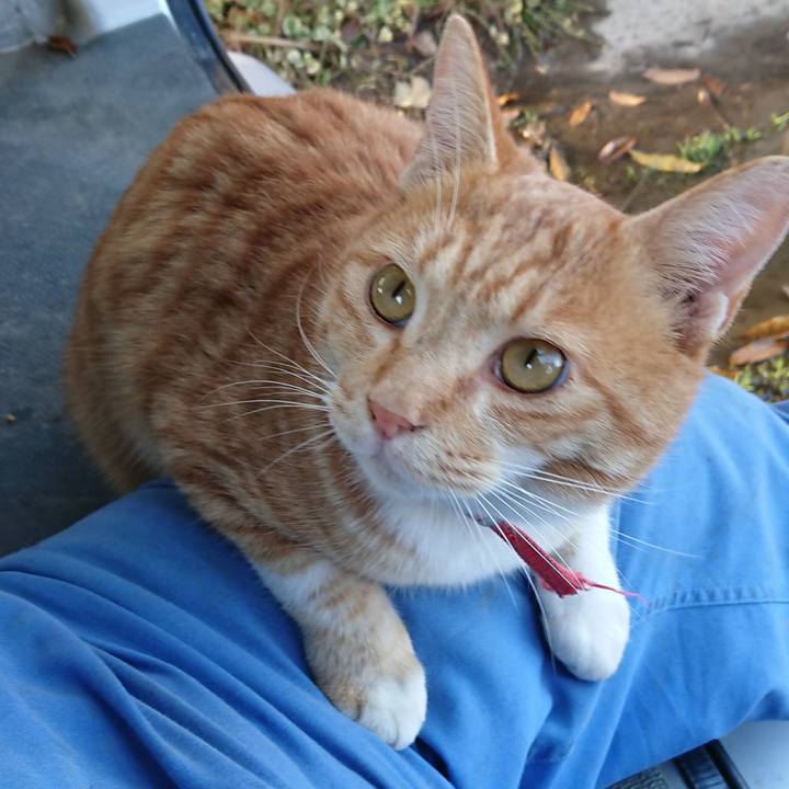 Da5e3eba c147 4845 9227 c9ac115a71b0 1573974188663