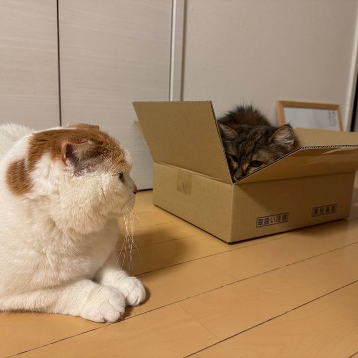 Da5e6cb9 590b 49c3 a6b1 0714a07e09fa 1774445147543