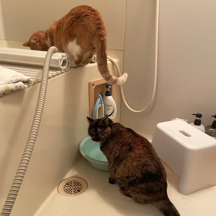 Da5e769d be25 41b3 81b9 47ac12a4265a 1769553642712