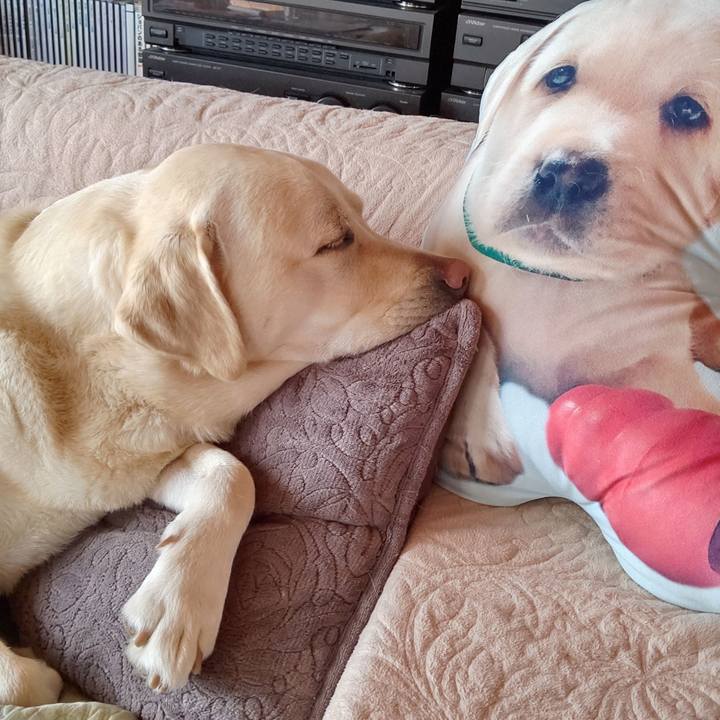 Da5e776f c65c 4e61 9a9e 139699194271 1587705507776