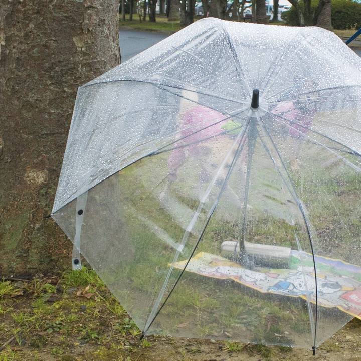 Da5ea763 9765 4c57 aba0 fbb061b5022b 1549925953270