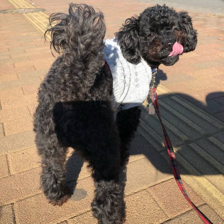 Da5ea824 e57d 4330 a5ce dcc477542401 1573359595256