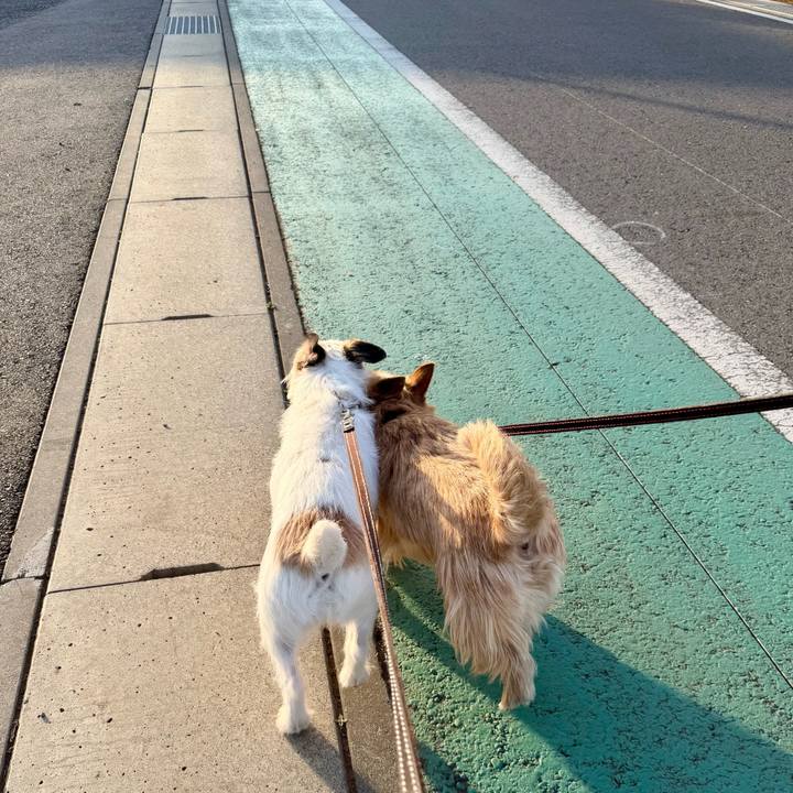 Da5eb568 9f8f 45df 8335 2163d0148567 1772368405085