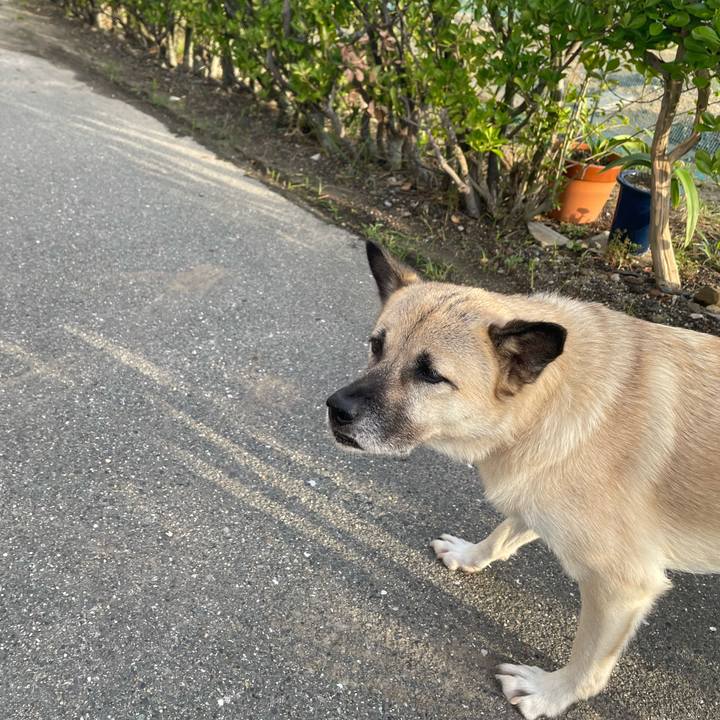 Da5ecfe2 44e9 4cfb af63 f3e826340a09 1663847486233