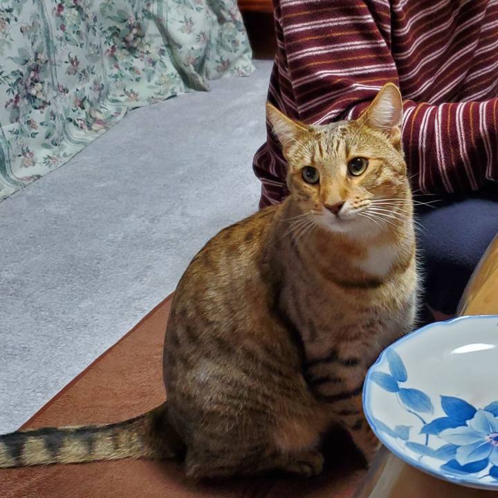 Da5f5327 bf47 4c30 9d31 d6122601f209 1704383534243