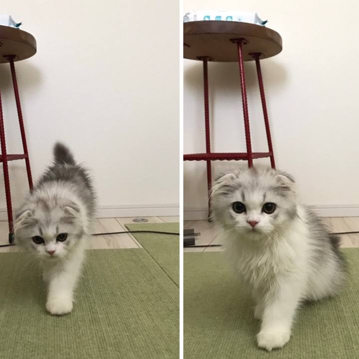 Da5f602d 5954 4227 b45e b628226f2426 1596509773535