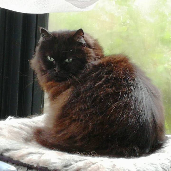 Da5f694d 4953 42e1 8d85 d2807fa8e77b 1523157665984