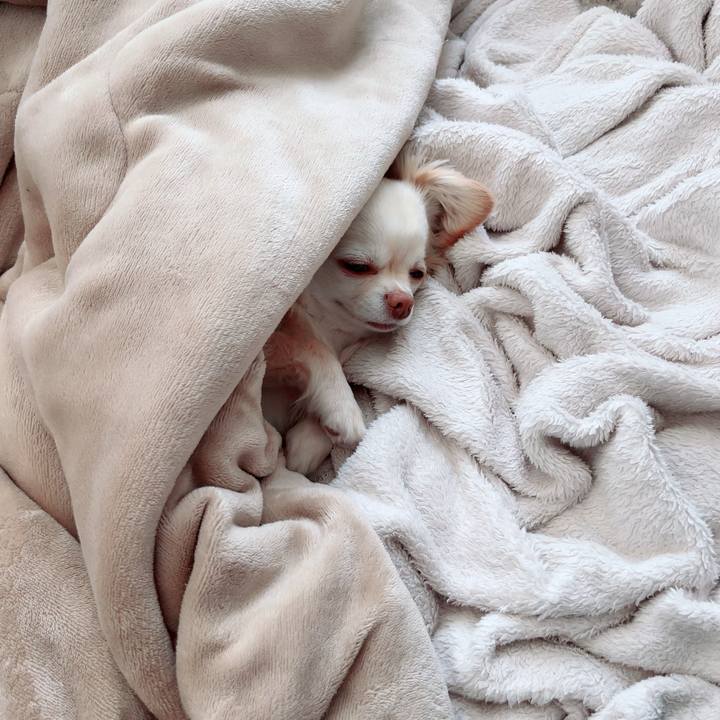 Da5f76a6 6720 48d1 9daa 3597e54c291d 1715761428077