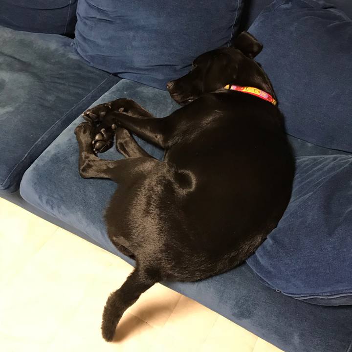 Da5f7d4a c5c4 4a1d 9f3c d933760f77a3 1540266962676