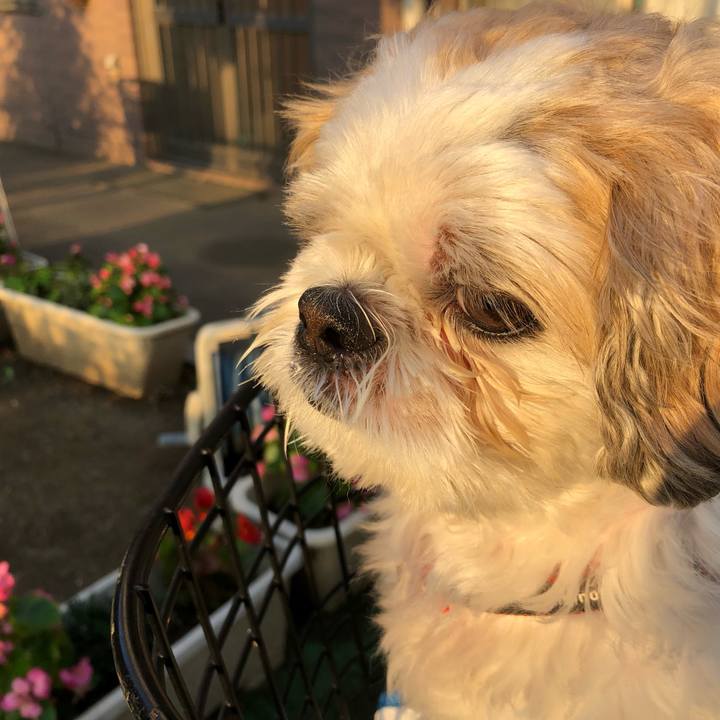 Da5feb1a 2fda 46b8 87ed 3a8d08ab6869 1572904155512