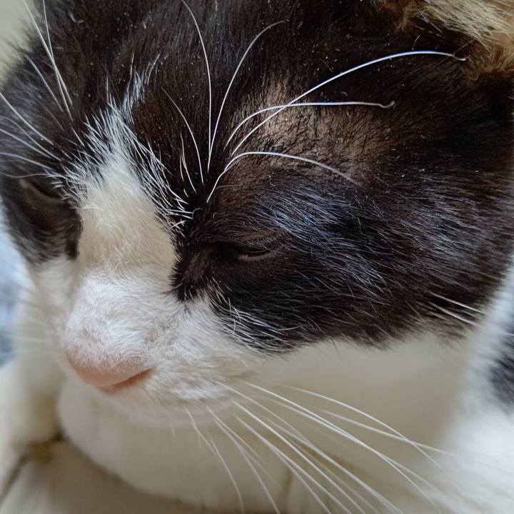 Da5fed60 b5f6 4f16 92e9 c82908e6584d 1641333419064