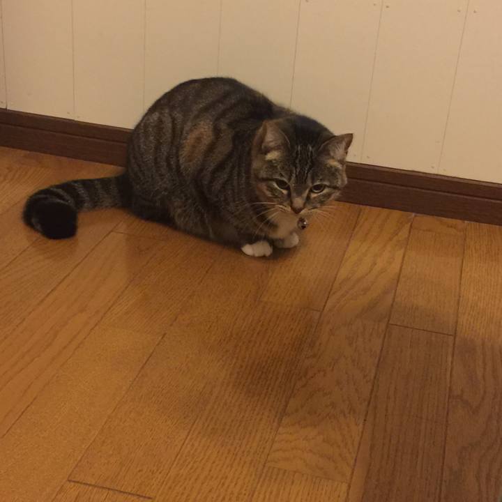 Da5ffe46 3d6c 44cc b7a4 fd518f5aa33f 1551000796351