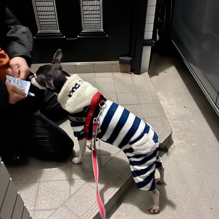 Da6060c2 bab5 44ce a48f 5b47223c3dcf 1579126402096