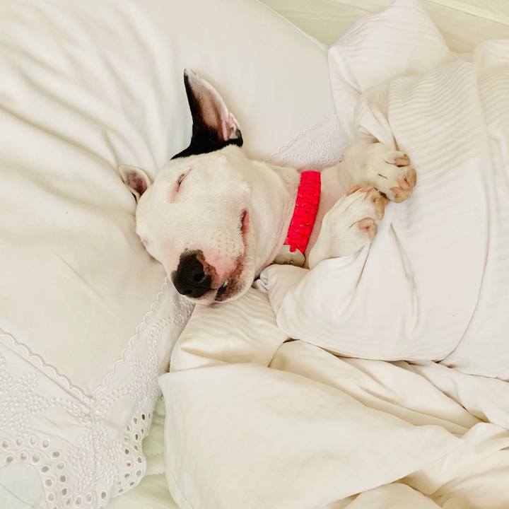 Da60626d 5da1 4022 b378 f32fd1dd467d 1556009994197