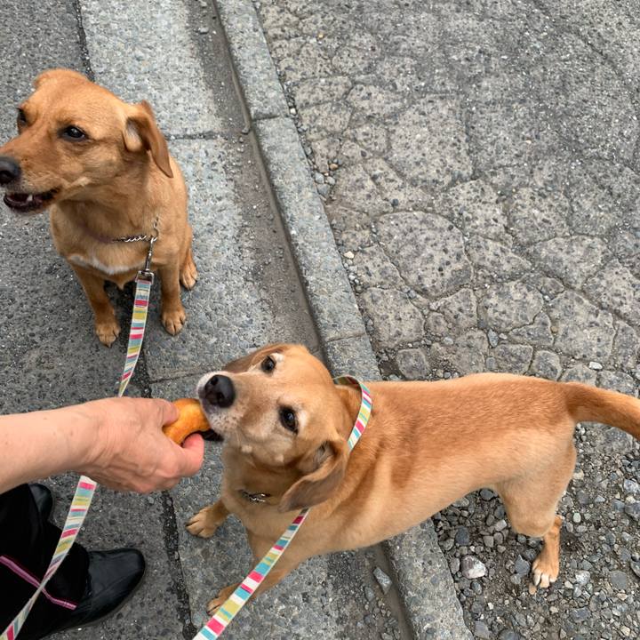 Da607120 4c06 4638 bd9f 338c416704a4 1621236934577