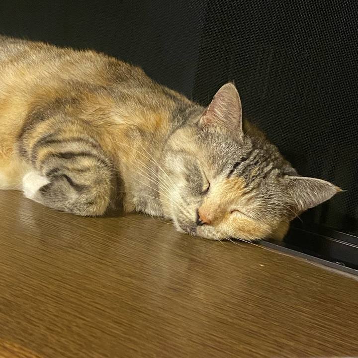 Da60735f da5a 4632 ac4d 3f544c9c7db9 1627823415576