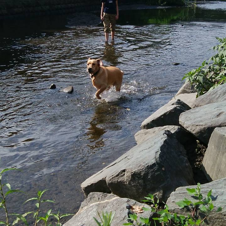 Da607685 66de 4c0a 84c9 b0bbd4a3a946 1531530159635