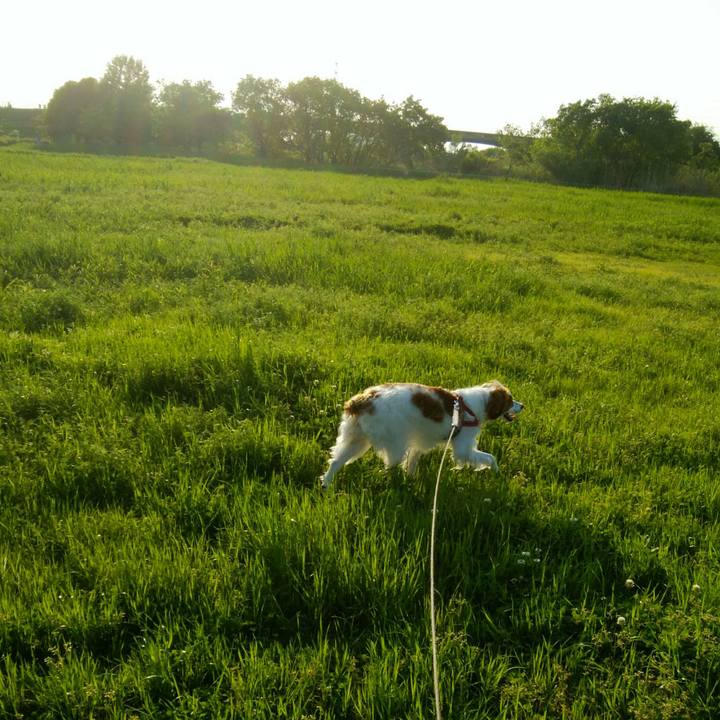 Da60819c 0ebf 4939 be3c 2375a775400b 1556795847682