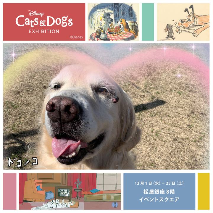 Da6092d5 5a30 40b1 ba5c b2c0331ae286 1638329560999