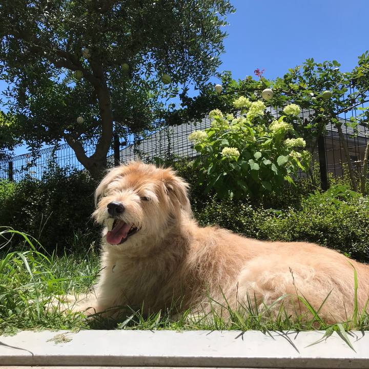 Da60e253 6624 45b5 b3f3 12c0f8a2dc5e 1530238242692